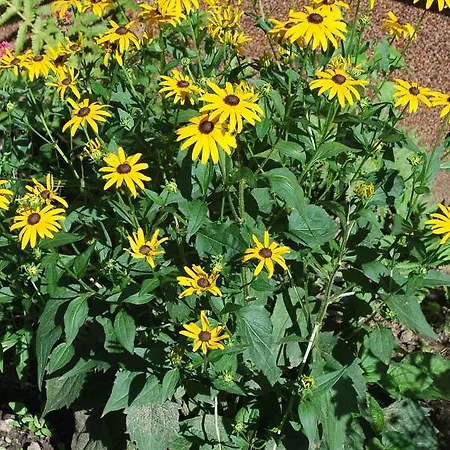 Casa Ramke Lägenhet