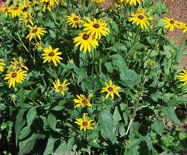 Casa Ramke Appartement